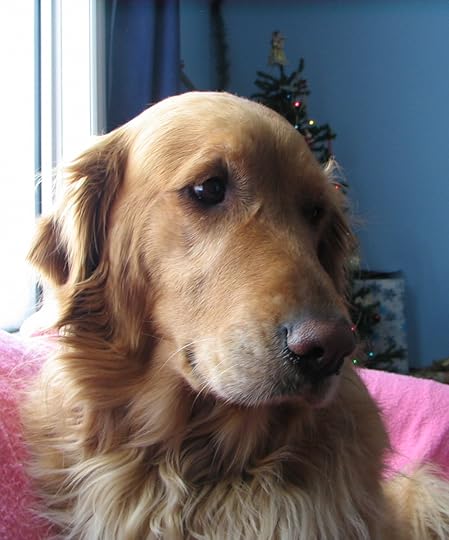 How could you say no?