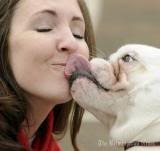  photo dog-park-kiss---1017jpg-914c036a44e11fb8_large_zps4bdd4f3a.jpg