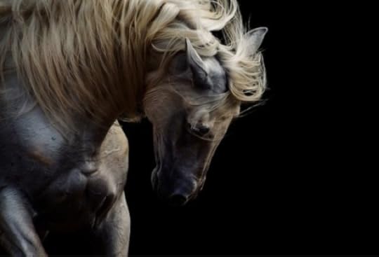  photo Bildschirmfoto2013-02-23um191747_zpsadcab1f4.png