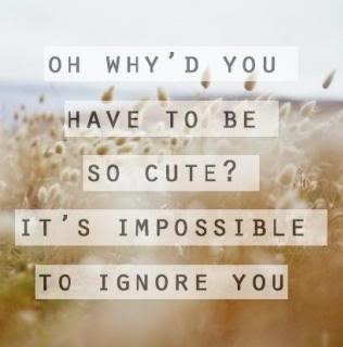  photo soo_cute-4369_zpse8b2e1a9.jpg