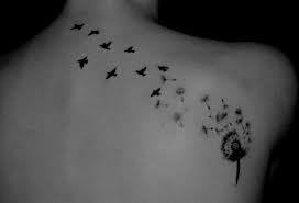 Image and video hosting by TinyPic