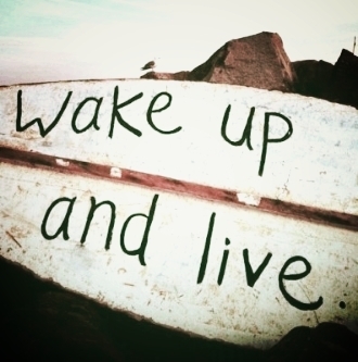  photo ce8431fd-9b87-4473-906e-17fbb43333b6_zps9347ec6b.jpg