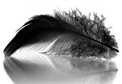  photo 5d0da397-42e0-4864-9992-00364f3813f9_zps3ebee092.jpg