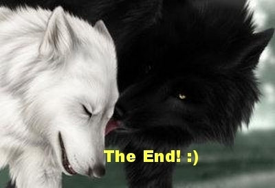  photo bbd19ef2-747c-46d5-ac9b-0e2fc44ed820_zps59b7a3be.jpg