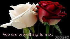 images?q=tbn ANd9 Gc SBgzs8n s7gd M3lm LTatw7gd Qg5v F