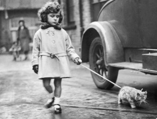 Image and video hosting by TinyPic