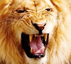  photo images-3_zpse22bcb85.jpeg