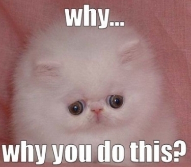  photo 2c1b9bc5-5dde-4423-82ba-84ca260797e5_zps813ac197.jpg