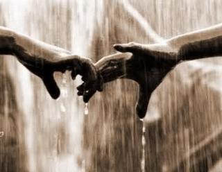  photo 005817_zps5511a282.jpg