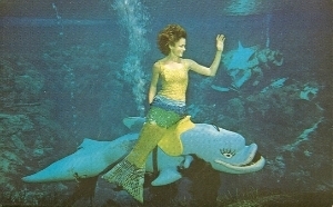  photo WeekiWachee1_zpse5956170.jpg