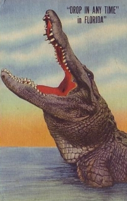  photo DropinAnyTimePostcard_zpsd9f910fe.jpg