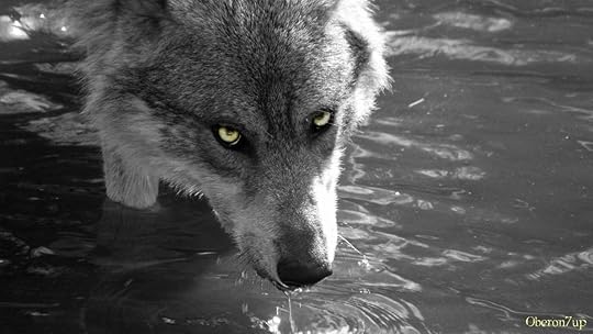 the_wolves_of_chabriere_by_oberon7up-d2s618t