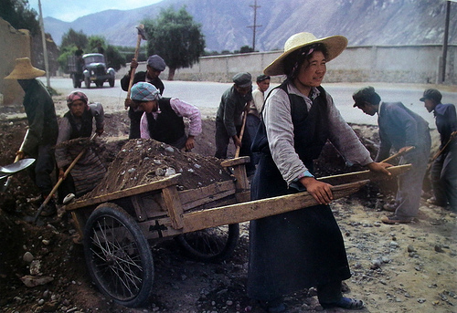 eve arnold construction crew