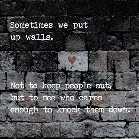  photo 943367_601660933201339_298295418_n_zps98f59d34.jpg