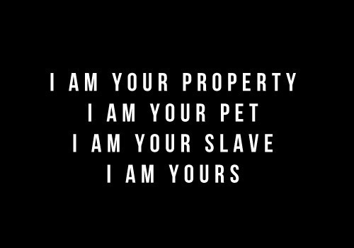 Image Hosted by ImageShack.us