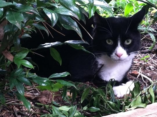 Eurphrates photo Eurphrates_zps98c1021b.jpg