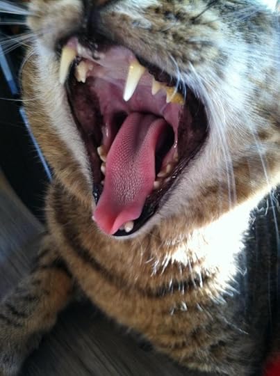 Georg photo GeorgYawn_zps03f0e6d6.jpg