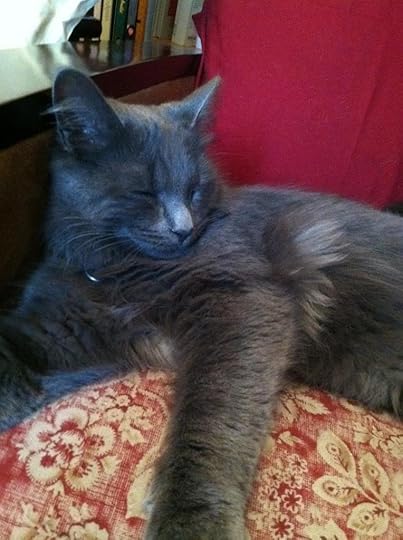 Finnegan photo Finnegan_zpsaa03ec70.jpg