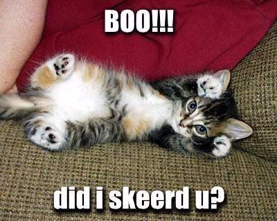 boo photo: boo boo.jpg
