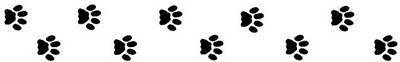 CatPawPrintDivider