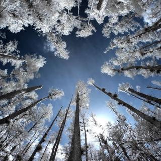 Photobucket Pictures, Images and Photos