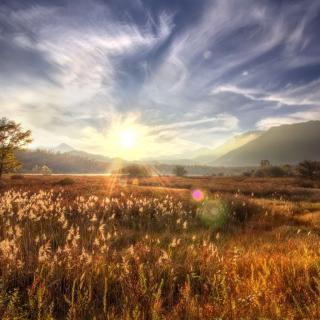  photo image_zpsa9f7e840.jpg