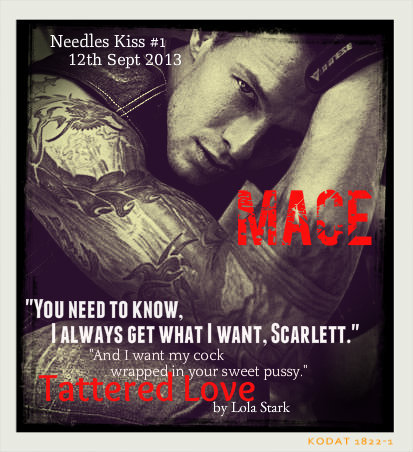  photo mace_zpse9e43742.jpg