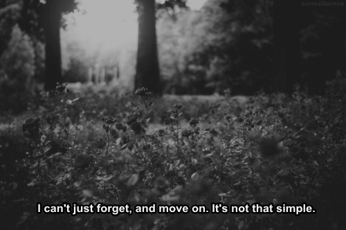 Image Hosted by ImageShack.us