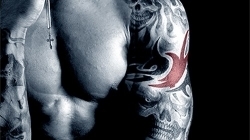 Worth the Fight by Vi Keeland photo Worth-the-Fight-Cover-500X750-500x280_zpsac930760.jpg