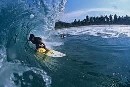 Surfing photo: surfing surfing.jpg