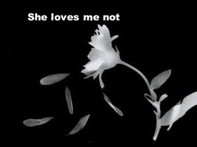  photo 038e8bfe-7a82-47e3-af78-4e7c88792780_zpsbd947ffd.jpg