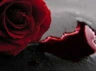  photo b4ec624a81403328088f9df1c5191e37_zps3af2e545.jpg