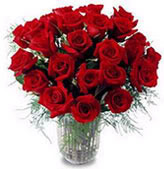 red roses photo: red roses red-roses.jpg