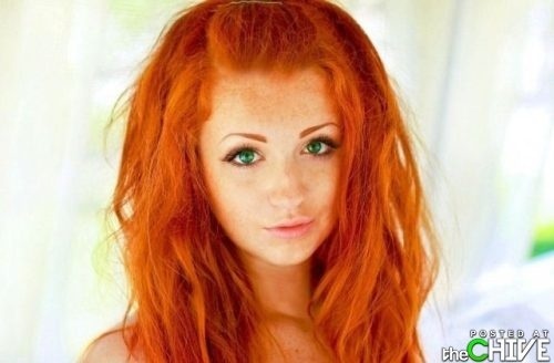  photo ae4ddeb4a28a83715eb6e834c664fc35.jpg