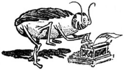  photo 4483f970-c5cf-49bd-aca4-1eac8b41a869_zpsdfcfb141.jpg