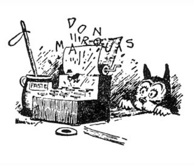  photo image_zps4fe5138f.jpg