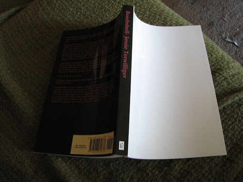 The image “http://farm4.static.flickr.com/3645/3292746639_3c14203767.jpg?v=0” cannot be displayed, because it contains errors.