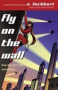 FlySuperheroFinal