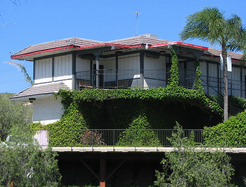 The image “http://farm4.static.flickr.com/3446/3380204929_018d1ffb64.jpg?v=0” cannot be displayed, because it contains errors.