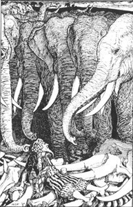 elephantburial