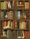 Bookshelves 2