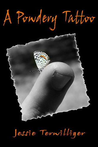 The image “http://farm4.static.flickr.com/3284/2312454603_61c1ba4cda.jpg?v=0” cannot be displayed, because it contains errors.