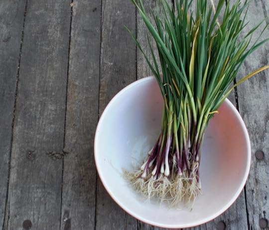 ramps09