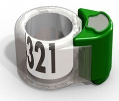 pigeonring