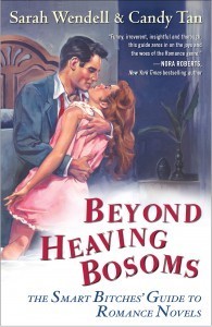 jacket-art-beyond-heaving-bosoms