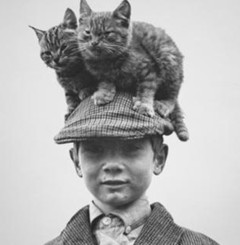 irishtravellers