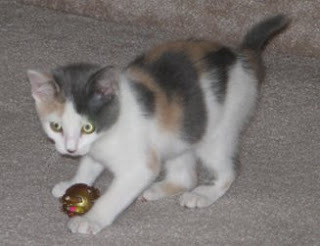 Gretel Playing with Ball