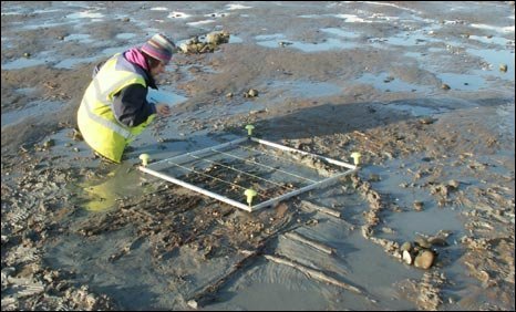 An archaeologist recording the remains of the trackway