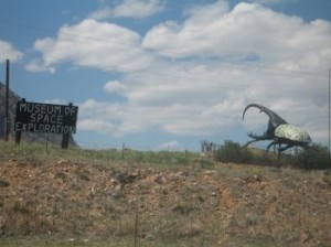 beetle-space-museum
