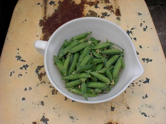 firstpeas09